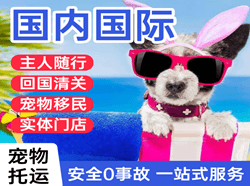 锡林浩特空运地址国际宠物托运 【国